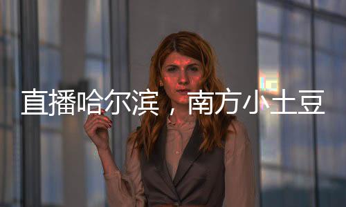 直播哈爾濱，南方小土豆被寵哭了
