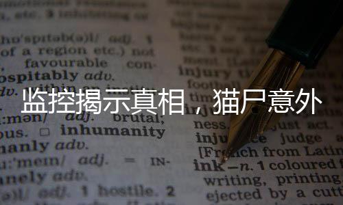 監(jiān)控揭示真相，貓尸意外塞入課桌事件全程回顧