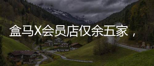 盒馬X會員店僅余五家，新零售模式挑戰(zhàn)依舊