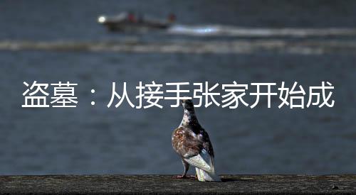 盜墓：從接手張家開始成神！