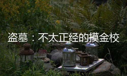 盜墓：不太正經(jīng)的摸金校尉