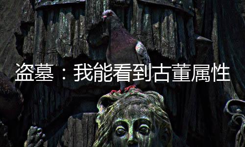 盜墓：我能看到古董屬性