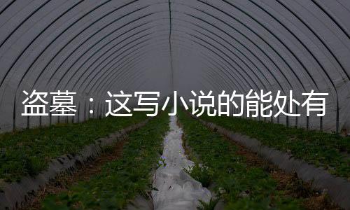 盜墓：這寫小說的能處有墓他真盜