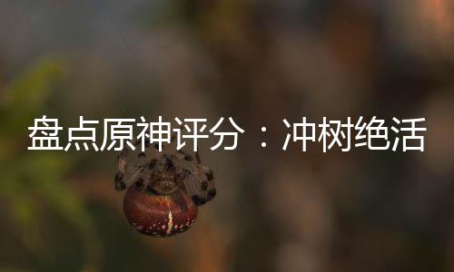 盤(pán)點(diǎn)原神評(píng)分：沖樹(shù)絕活哥奧托？
