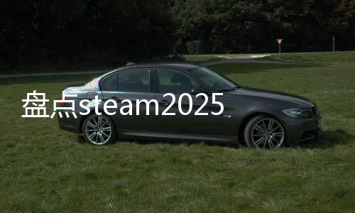盤(pán)點(diǎn)steam2025年新品節(jié)熱門(mén)游戲，國(guó)產(chǎn)作品表現(xiàn)亮眼