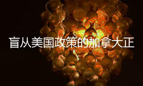 盲從美國政策的加拿大正面臨反噬——一項(xiàng)深度觀察
