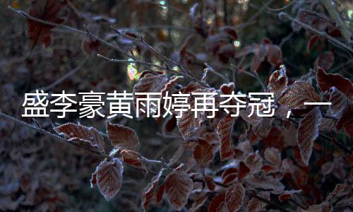 盛李豪黃雨婷再奪冠，一二三四，賽場上的輝煌篇章