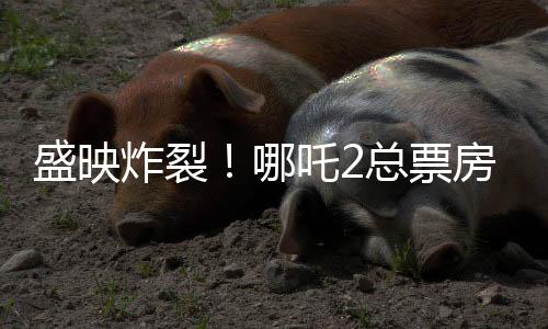 盛映炸裂！哪吒2總票房突破143億，再創(chuàng)國產(chǎn)動畫神話！