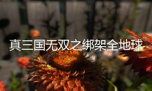 真三國無雙之綁架全地球