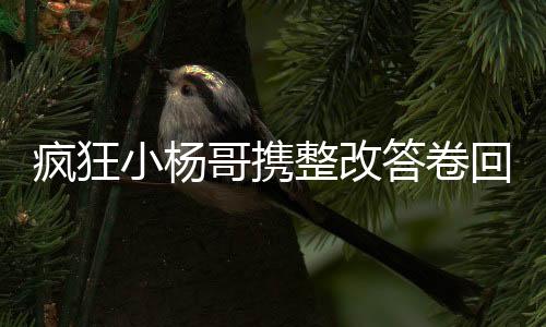 瘋狂小楊哥攜整改答卷回歸，全面自我革新，再展網(wǎng)紅風采