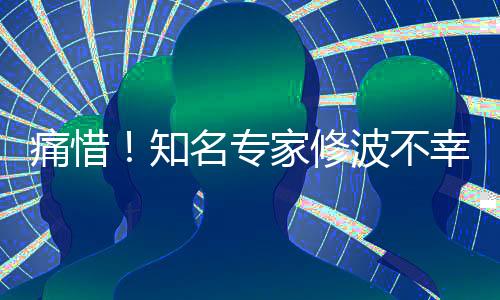 痛惜！知名專家修波不幸離世，享年XX歲，交通意外成人生終點(diǎn)
