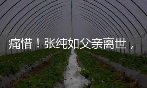 痛惜！張純?nèi)绺赣H離世，一代人的文化星光隕落