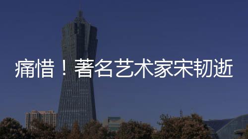 痛惜！著名藝術(shù)家宋韌逝世