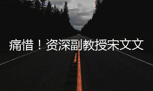 痛惜！資深副教授宋文文英年早逝