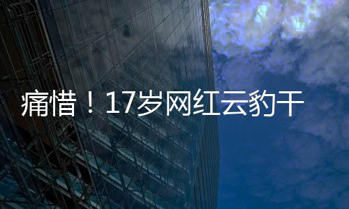 痛惜！17歲網(wǎng)紅云豹干干離世，悼念一顆閃耀星辰的隕落