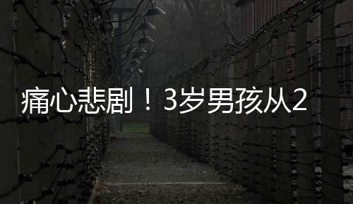 痛心悲??！3歲男孩從27樓走廊墜亡