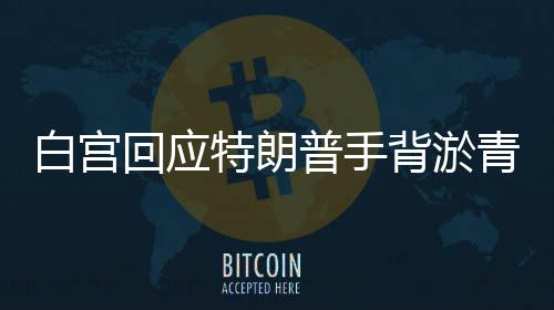 白宮回應(yīng)特朗普手背淤青，握手太多——揭秘真相的一二三四