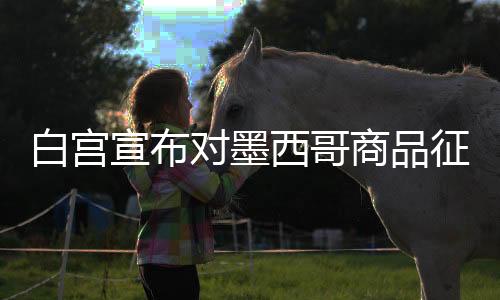 白宮宣布對墨西哥商品征收25%關(guān)稅，全球貿(mào)易關(guān)系面臨新的挑戰(zhàn)
