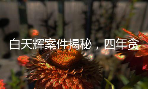 白天輝案件揭秘，四年貪污十一億，二審維持死刑判決