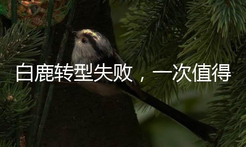 白鹿轉型失敗，一次值得探討的藝術挑戰(zhàn)