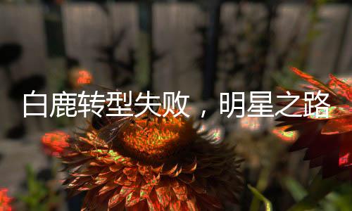白鹿轉(zhuǎn)型失敗，明星之路的挑戰(zhàn)與反思