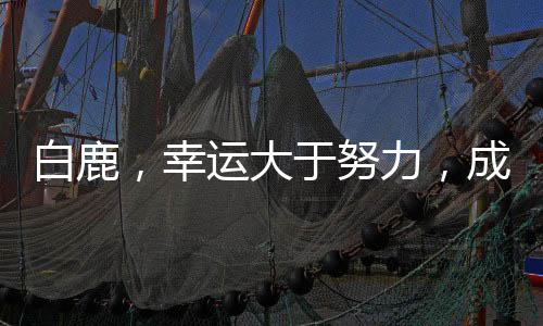 白鹿，幸運(yùn)大于努力，成就今日輝煌
