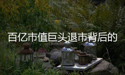 百億市值巨頭退市背后的故事與反思，探究資本市場(chǎng)深處的變數(shù)與挑戰(zhàn)