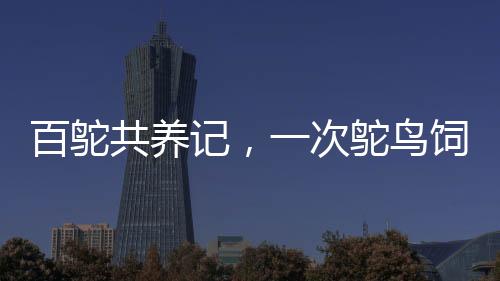 百鴕共養(yǎng)記，一次鴕鳥飼養(yǎng)與美食直播之旅