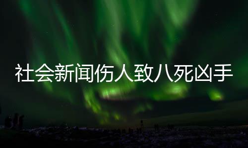 社會新聞傷人致八死兇手終伏法——正義不會遲到