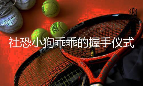 社恐小狗乖乖的握手儀式，人與自然的和諧共處