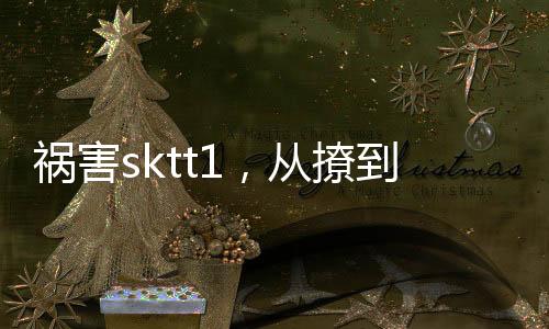禍害sktt1，從撩到恩靜開始
