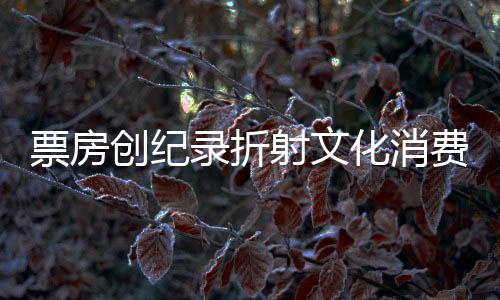 票房創(chuàng)紀錄折射文化消費新高度