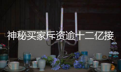 神秘買家斥資逾十二億接管上海城隍廟廣場