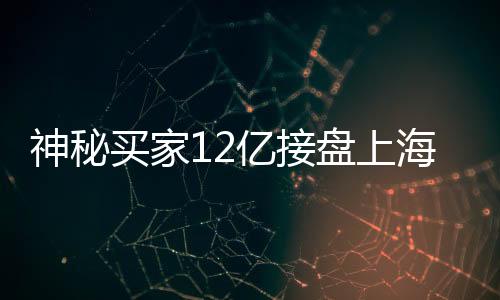 神秘買(mǎi)家12億接盤(pán)上海城隍廟廣場(chǎng)，交易背后的故事