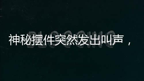 神秘?cái)[件突然發(fā)出叫聲，男子遭遇驚悚一刻