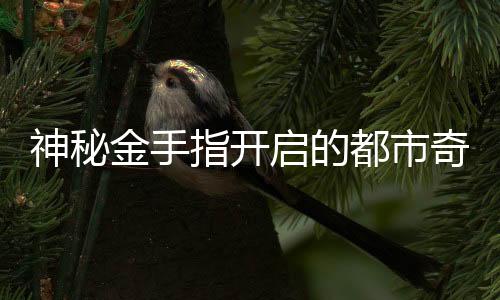 神秘金手指開啟的都市奇緣