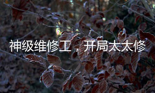 神級(jí)維修工，開局太太修水管