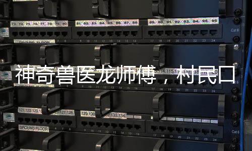 神奇獸醫(yī)龍師傅，村民口中的治愈奇跡