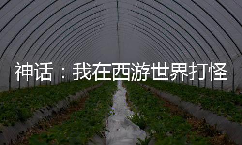 神話：我在西游世界打怪升級(jí)