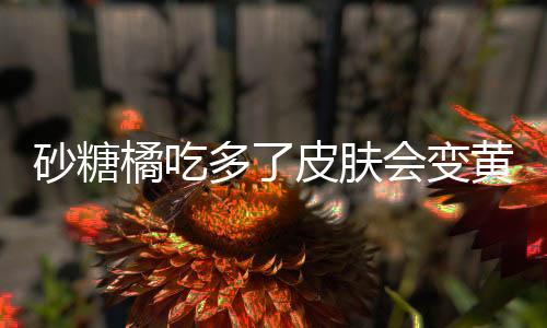 砂糖橘吃多了皮膚會變黃嗎？探究真相與科學(xué)依據(jù)