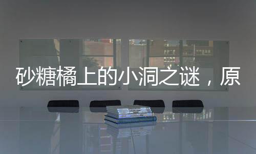 砂糖橘上的小洞之謎，原因探究與解析