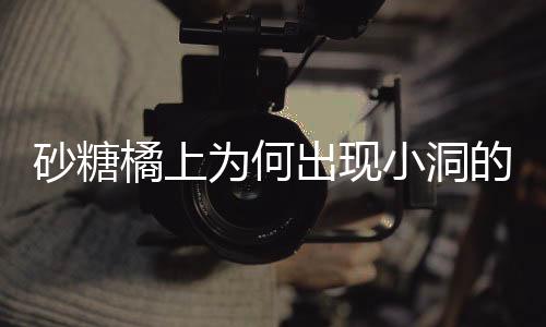 砂糖橘上為何出現(xiàn)小洞的秘密
