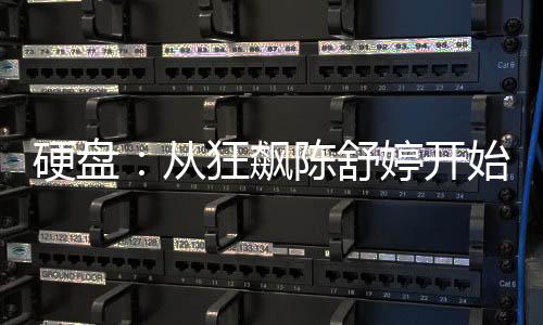硬盤：從狂飆陳舒婷開始