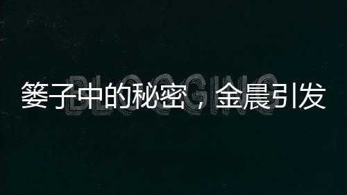 簍子中的秘密，金晨引發(fā)網(wǎng)友熱議