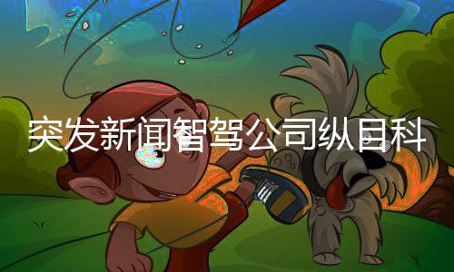 突發(fā)新聞智駕公司縱目科技創(chuàng)始人疑似失聯(lián)，背后原因引發(fā)熱議