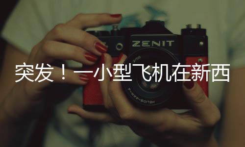 突發(fā)！一小型飛機(jī)在新西蘭墜毀 致一人受重傷