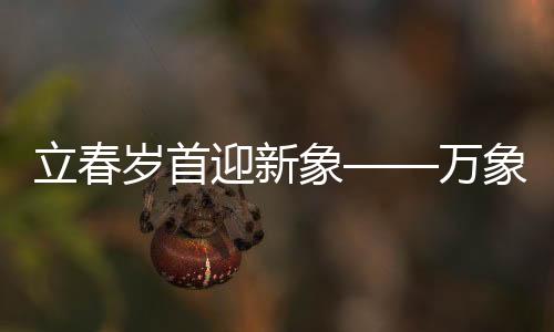 立春歲首迎新象——萬象更新之際的喜悅與期待