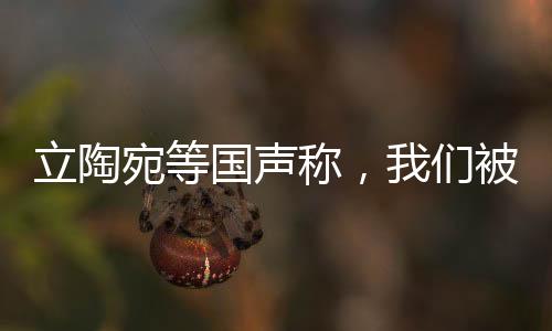 立陶宛等國(guó)聲稱，我們被美英法出賣——揭秘背后的真相