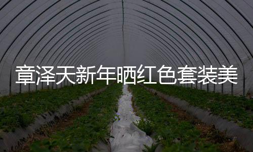 章澤天新年曬紅色套裝美照，31歲依舊光彩照人