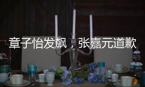 章子怡發(fā)飆，張嘉元道歉——一次公眾事件的深度解讀